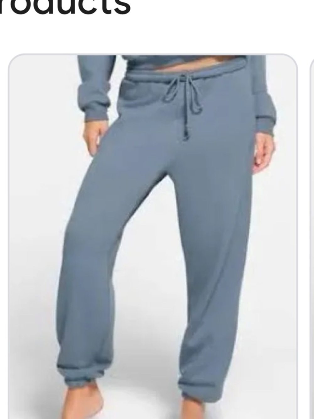 SKIMS FRENCH TERRY JOGGER | STEEL BLUE 
STEEL BLUE / M